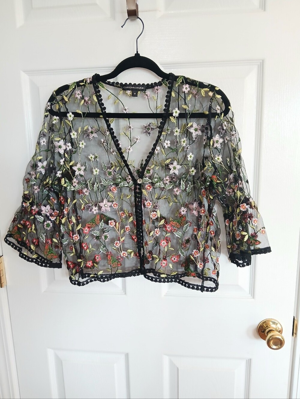 Chris McLaughlin Sheer Black Floral Embroidered Cropped Top Cottage Fairy Boho